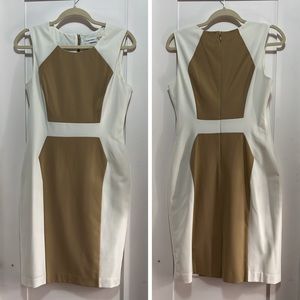 Calvin Klein Women’s Dress | 6